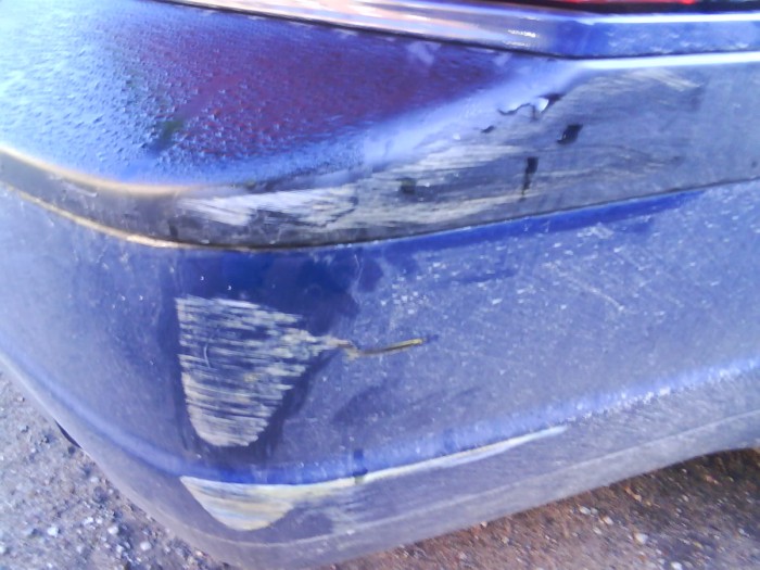 000 paveiksl0809.jpg