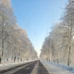 Vaclovas Kazlauskas Profile Picture